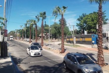 Tigre suma iluminaria y forestación en su espacio público